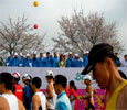 2014年慶州さくらマラソンのご案内